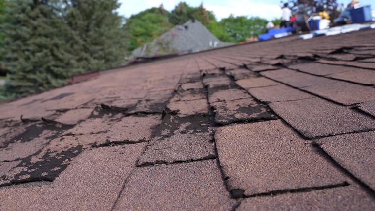 Best Asphalt Shingles Roofing  in Stlman Valley, IL