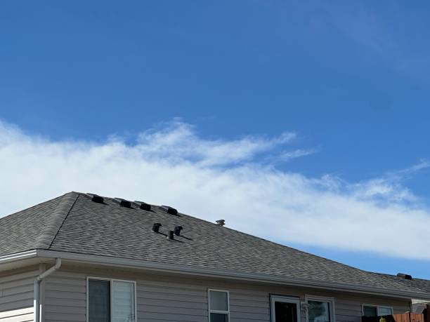 Best Emergency Roof Repair Services  in Stlman Valley, IL